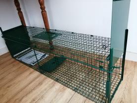 Location cage transport animaux
