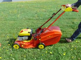 Service tonte de pelouse