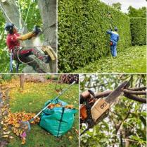 Service entretien jardin