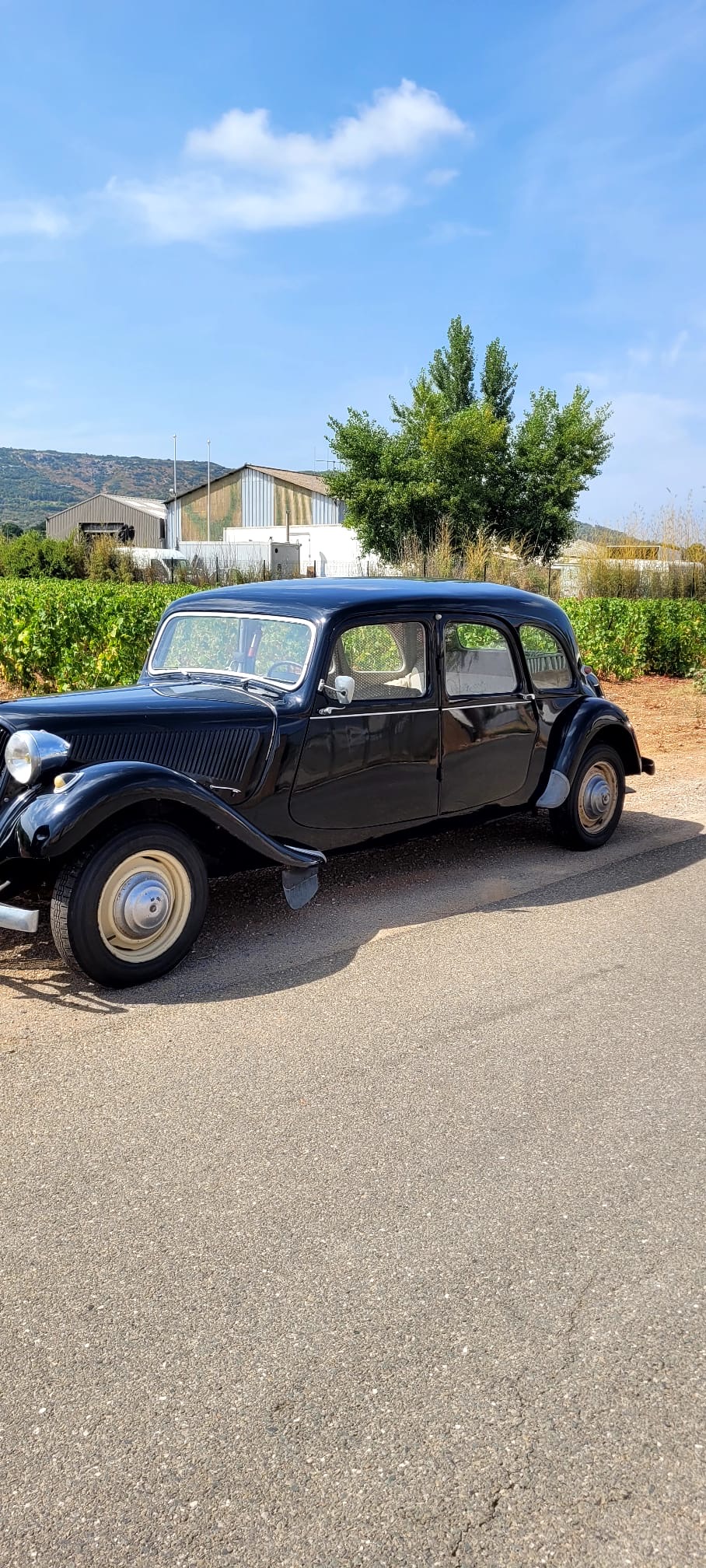 Location voiture ancienne collection entre particuliers (34)