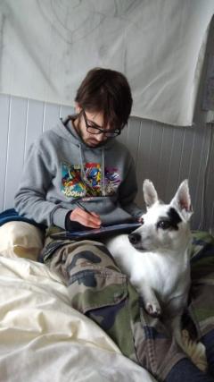 Service chien