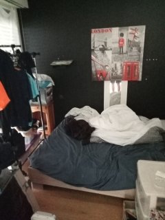 Location chambre meublee