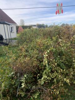 Service entretien espace vert