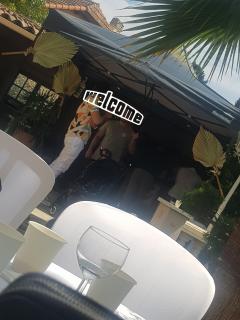 Location tente reception