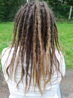 Service coiffure