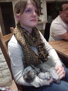 Service garde animaux