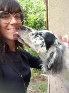 Service garde animaux