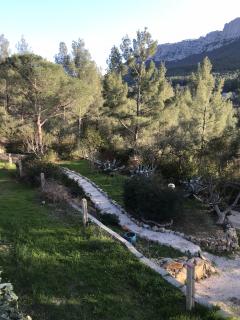 Service jardinage