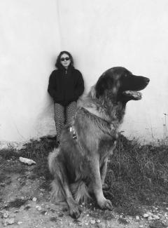 Service garde animaux