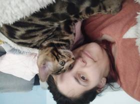 Service garde animaux