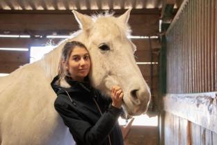 Service garde animaux