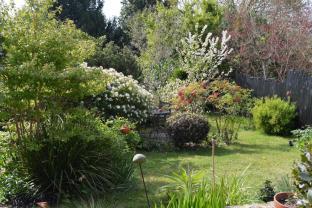 Service entretien jardin