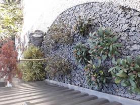 Service entretien jardin