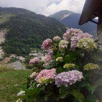 Service entretien jardin