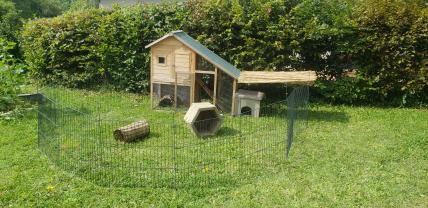 Service garde lapin