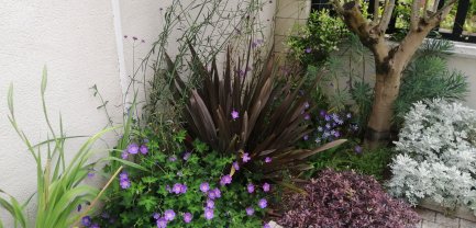 Service jardinage