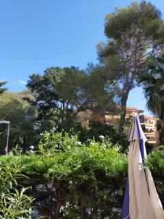 Location autre