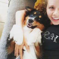 Service garde animaux