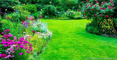 Service entretien jardin