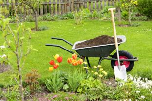 Service jardinage