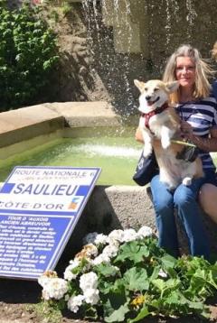 Service garde animaux