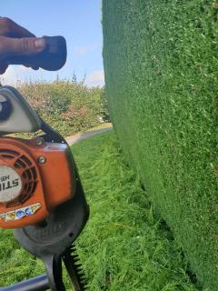 Service entretien jardin