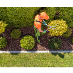 Service entretien espace vert