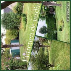 Service entretien espace vert