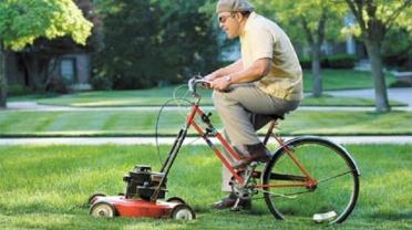 Service tonte de pelouse