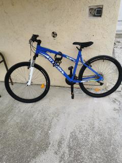 Location velos