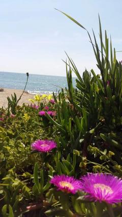 Service entretien jardin