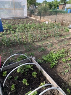 Service entretien jardin