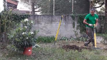 Service amenagement jardin