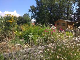 Location jardin potager