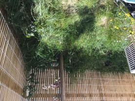 Service amenagement jardin