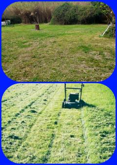 Service entretien jardin