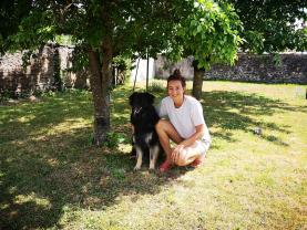 Service garde animaux