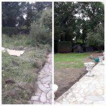 Service entretien espace vert