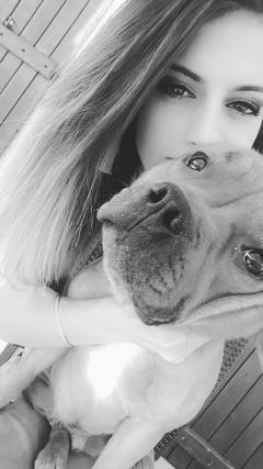 Service garde animaux