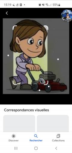 Service tonte de pelouse