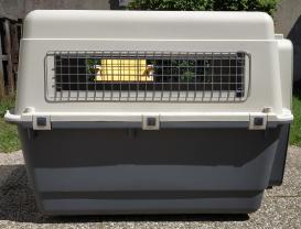 Location cage transport animaux