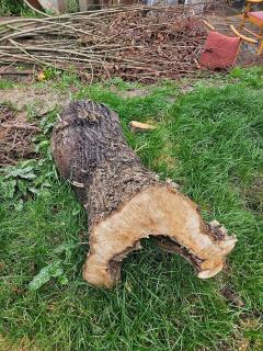 Service coupe de bois