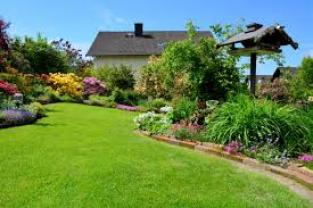 Service entretien espace vert