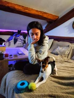 Service chien