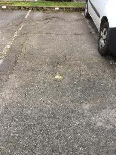 Location parking exterieur
