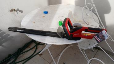 Location taille haie