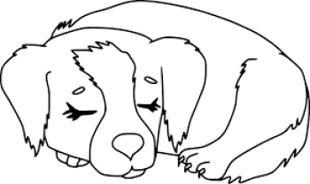 Service chien