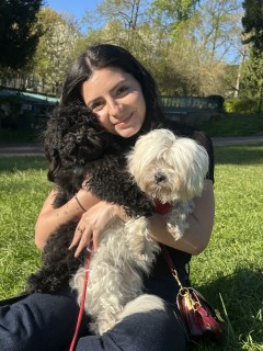 Service garde animaux