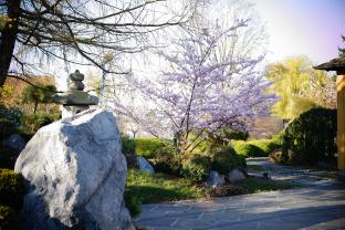 Location jardin