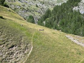 Service photographie